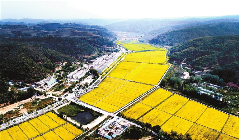 陕西省延安市南泥湾镇南泥湾村全景.