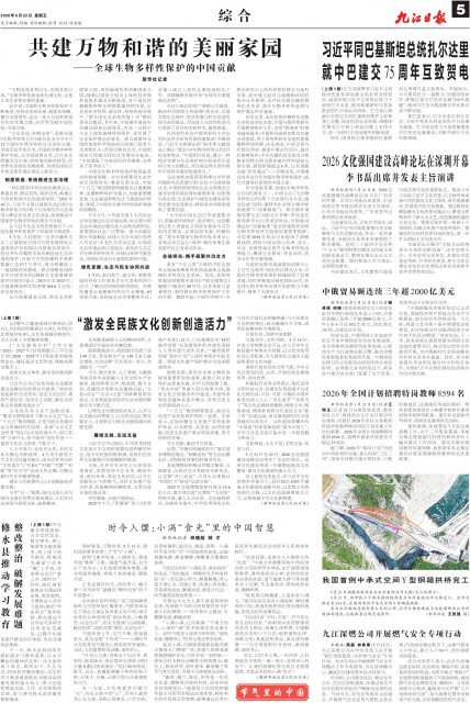 第A05版:综 合